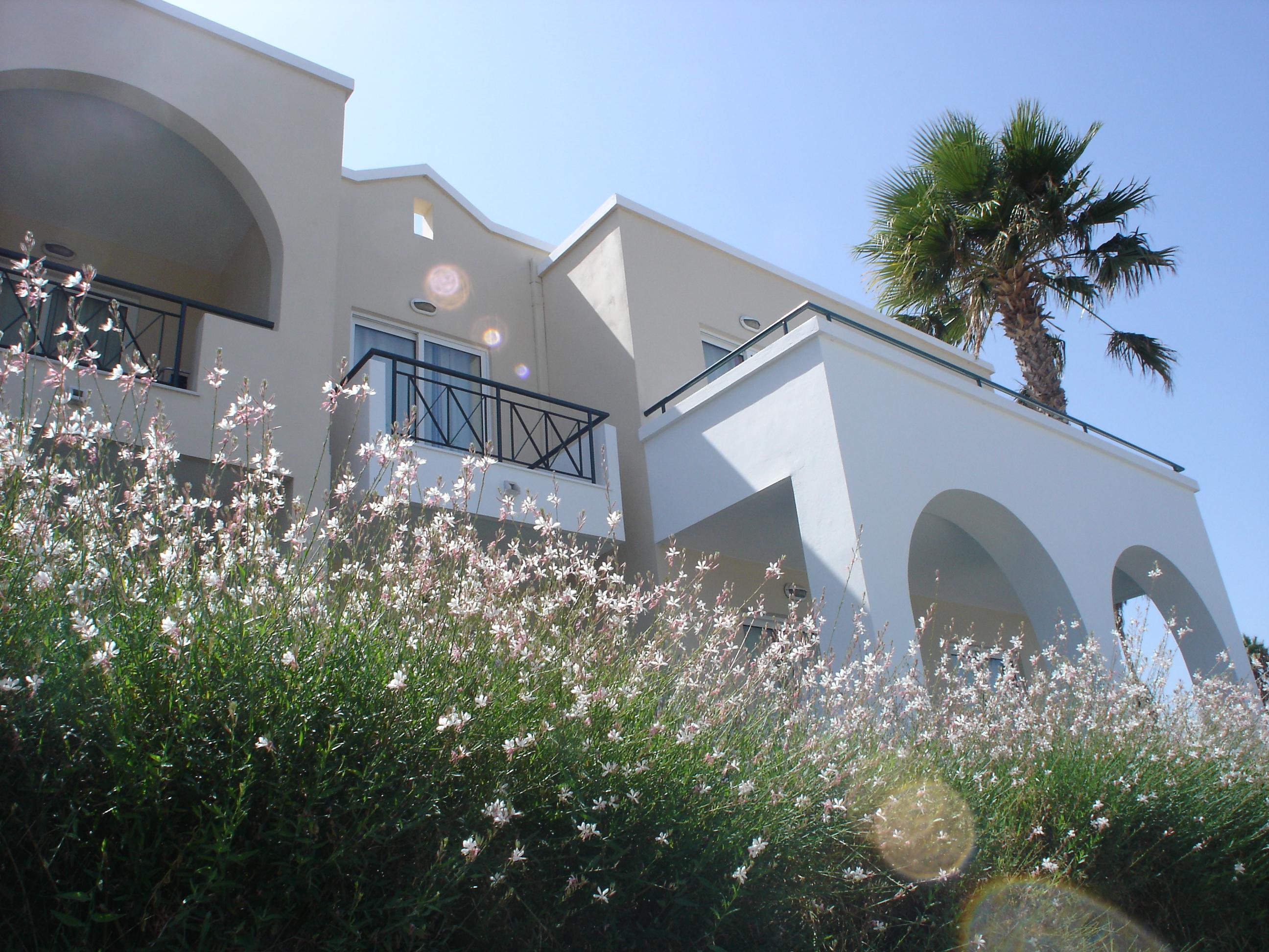 Andromeda Hotel Apartments Psalidi  Luaran gambar